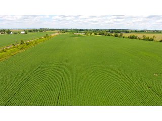Property photo 4 - LAND AUCTION - 84+/- ACRES IN RUSH COUNTY, INDIANA